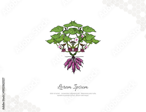Sweet potato tree with flower vector art flat for wall decoration