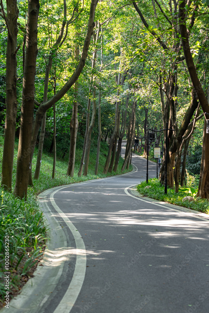 Naklejka premium Park road in Guangzhou China