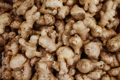 Close-up view of a large pile of fresh ginger roots. Spice and vibrancy for a food or health-related article or blog post 