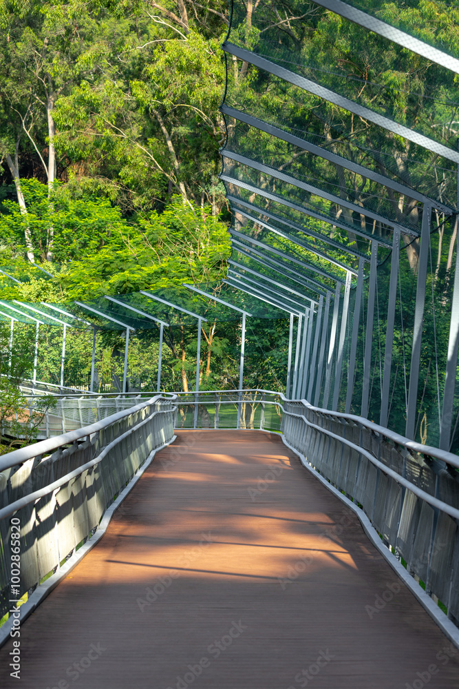 Fototapeta premium Pathway in park in Guangzhou China