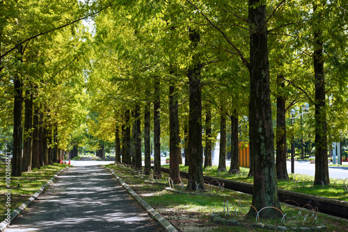 花博記念公園鶴見緑地の風景