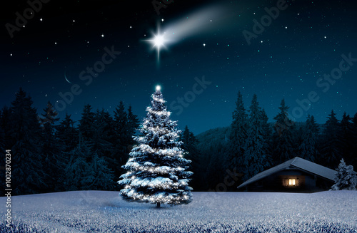 Weihnachtsbaum in kalter winternacht mit beleuchteter Hütte
