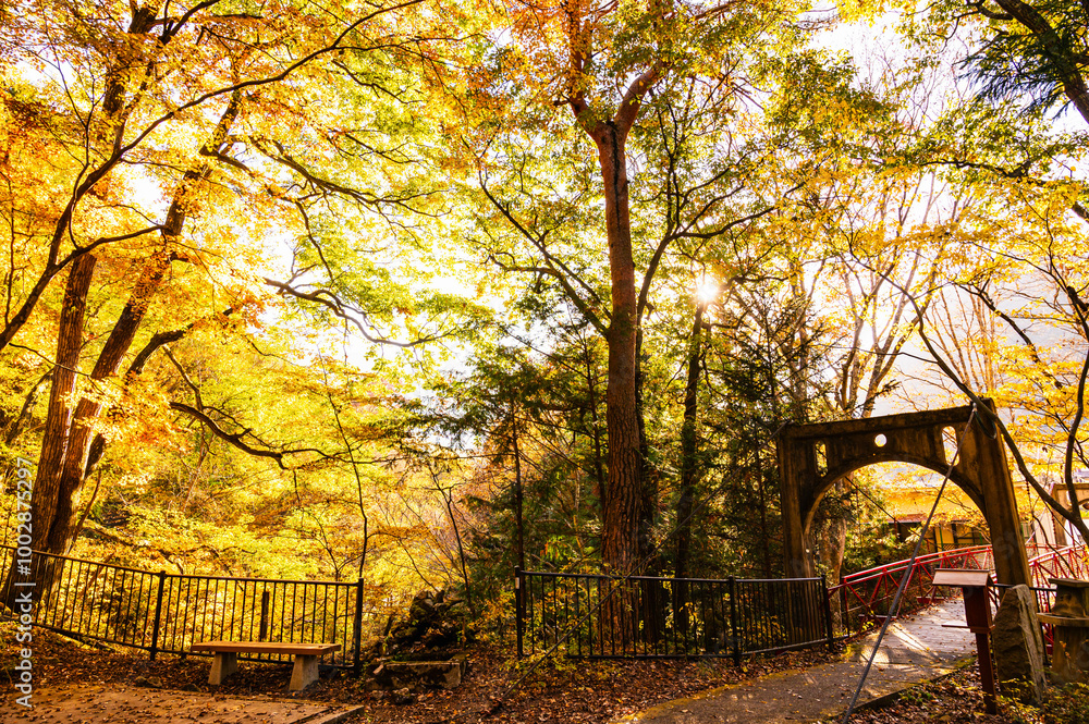 鹿教湯温泉 紅葉橋 鹿教湯温泉 紅葉橋