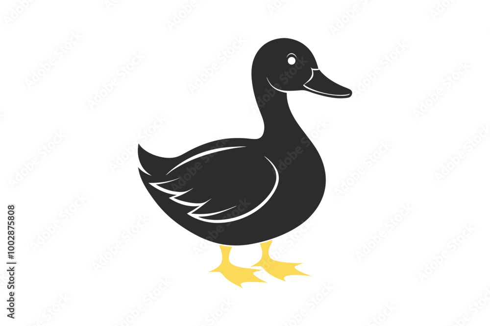 Vector illustration of a duck on a white background Vector illustration of a duck on a white background