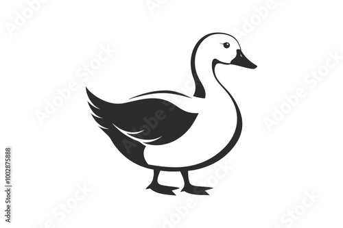  Vector illustration of a duck on a white background