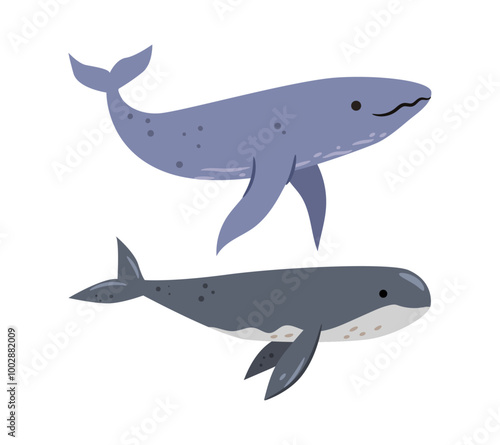 Large marine mammal, isolated set of whales. Vector filter feeders underwater animals dwellers. Ocean creature or cetacean with thick layer of blubber. Giant of sea with tail fin and blowhole