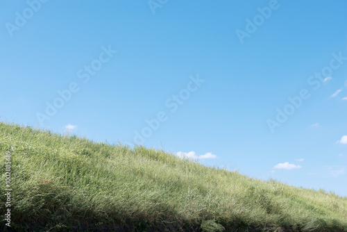 堤防の風景