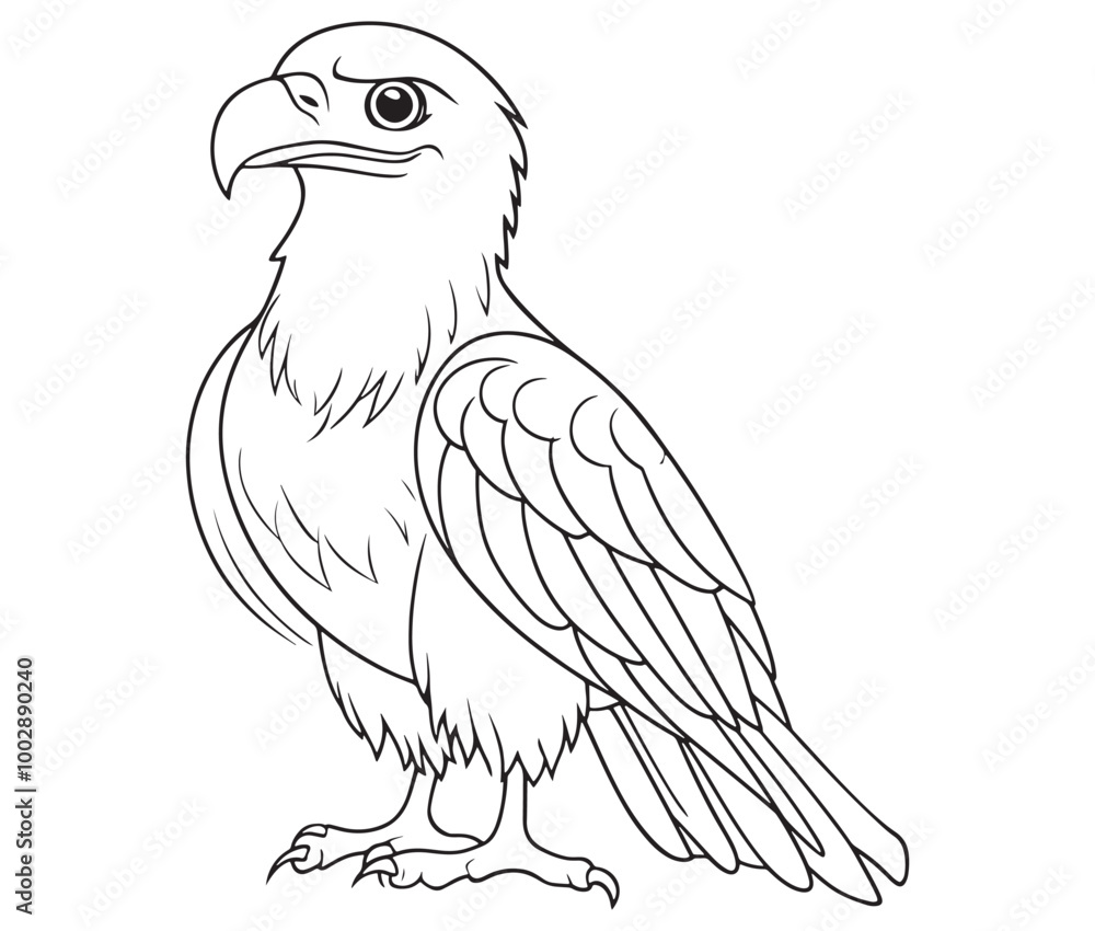 Illustration of an eagle, Hawk vector, Outline eagle vector Illustration of an eagle, Hawk vector, Outline eagle vector