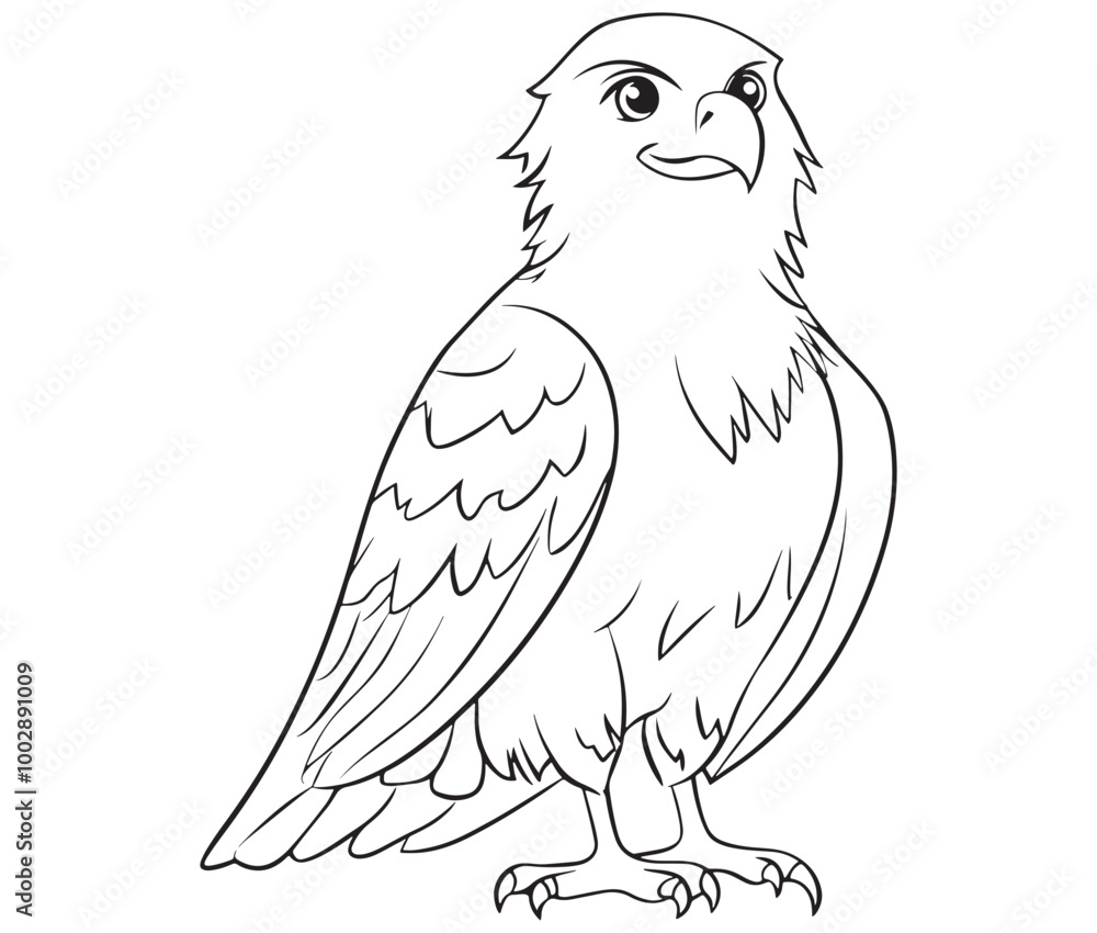 Illustration of an eagle, Hawk vector, Outline eagle vector Illustration of an eagle, Hawk vector, Outline eagle vector