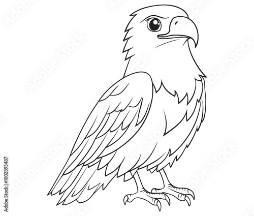 Illustration of an eagle, Hawk vector, Outline eagle vector