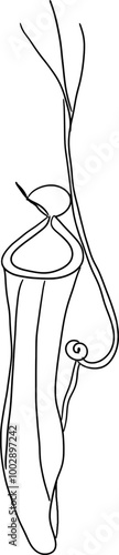 hand drawn illustration of a sketch of a nepenthes mirabilis