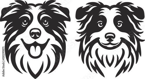 Australian Shepherd silhouette, illustration white background