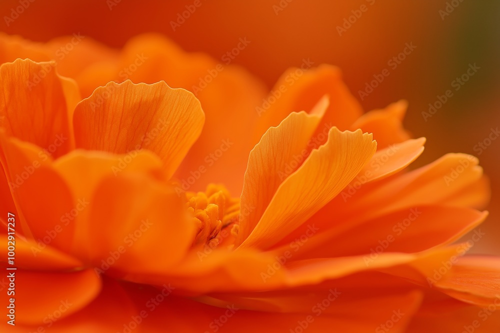Detailed view of the intricate orange petals of a flower, glowing with natural beauty and vivid color. Detailed view of the intricate orange petals of a flower, glowing with natural beauty and vivid color.