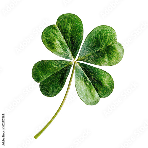 vibrant green four leaf clover symbolizing luck and prosperity, showcasing its unique leaf structure and rich texture. This botanical beauty is perfect for nature lovers