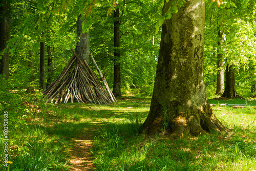 Small hut made of tree branches in a beech forest