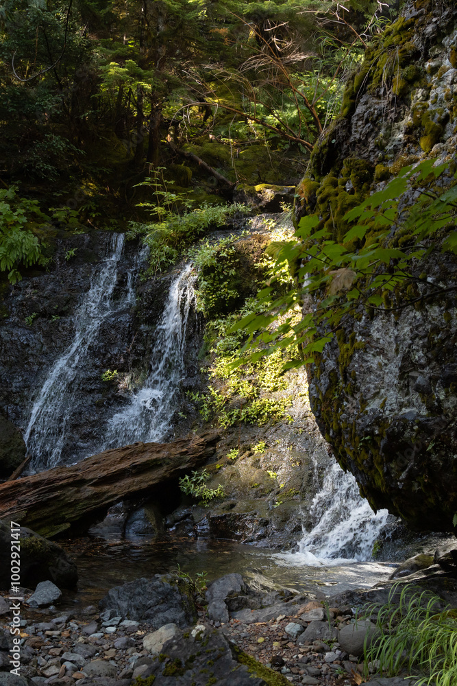 Mount Rainier National Park, Oregon Mount Rainier National Park, Oregon