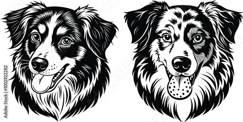 Australian Shepherd silhouette, illustration white background