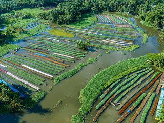 Leinwandbilder Olivgrün A stunning aerial view of farmers cultivating vegetables on floating gardens in Nazirpur, Pirojpur, Bangladesh, on September 30, 2024.  © Muhammadamdadphoto