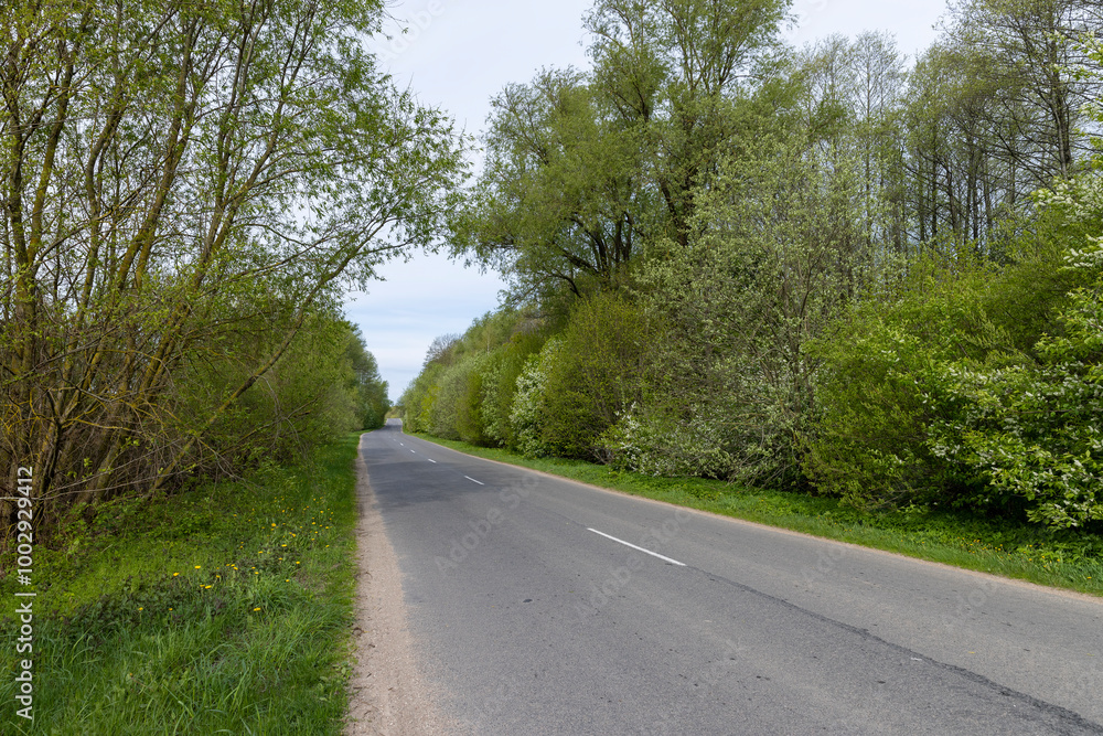 narrow road through the forest in rural areas narrow road through the forest in rural areas