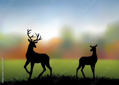 Silhouette of deer in the grass by the oaks. Vector drawing