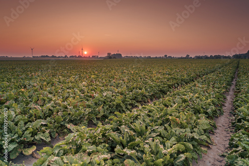 The beautiful landscape of Pałuki, a conventional region in northwestern Poland photo