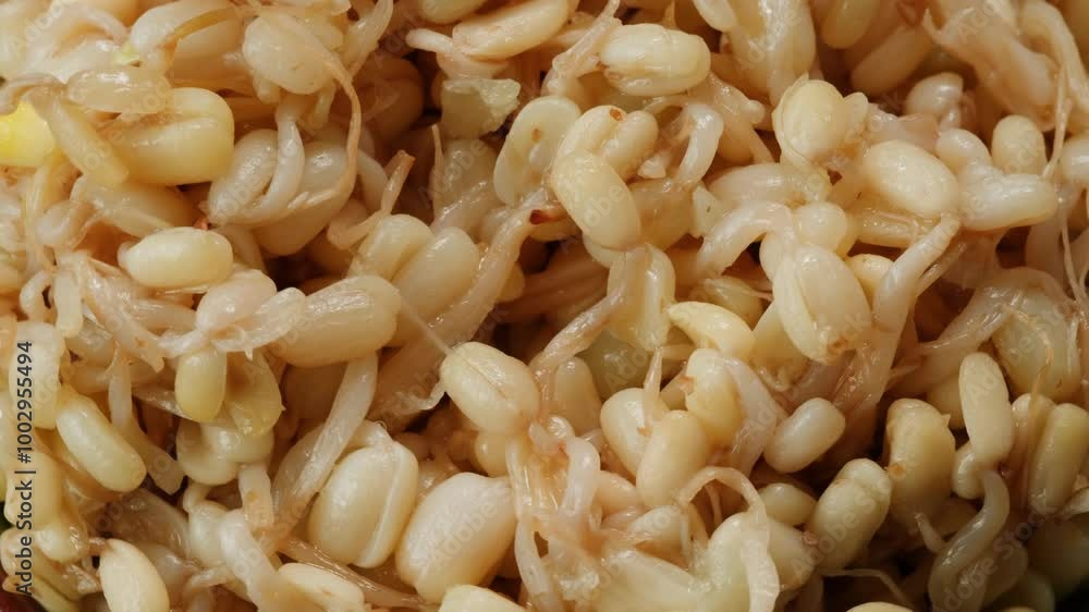 Salted soybean fermented in jar, chinese soy production, marinated food, germinated soy close up in cafe restaurant. Salted soybean fermented in jar, chinese soy production, marinated food, germinated soy close up in cafe restaurant.
