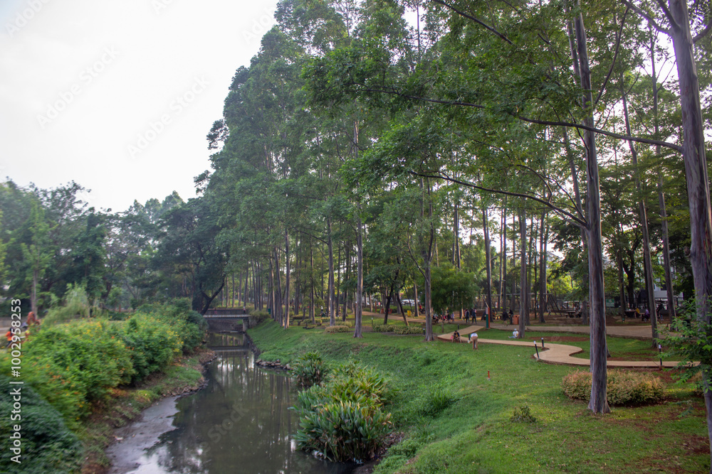 portrait of urban forest, park, garden in the morning with big tree and river as flood and pollution prevention portrait of urban forest, park, garden in the morning with big tree and river as flood and pollution prevention