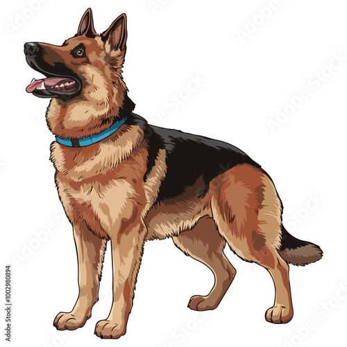 German Shepherd On Standing