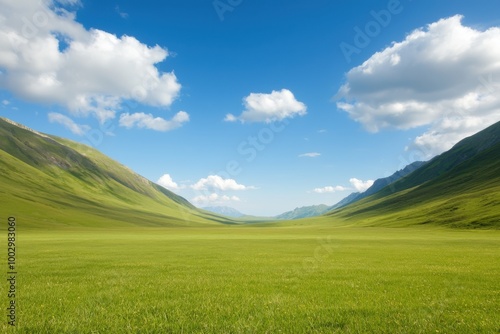 Vast green valley under a blue sky with fluffy clouds, nature's serene landscape.