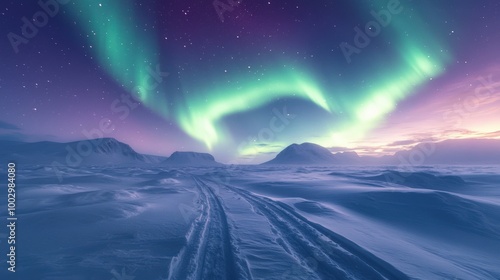 Wallpaper Mural Brilliant hues of green and purple dance across the twilight sky as the Northern Lights paint a breathtaking show above a snowy landscape in the Arctic, creating a magical atmosphere Torontodigital.ca