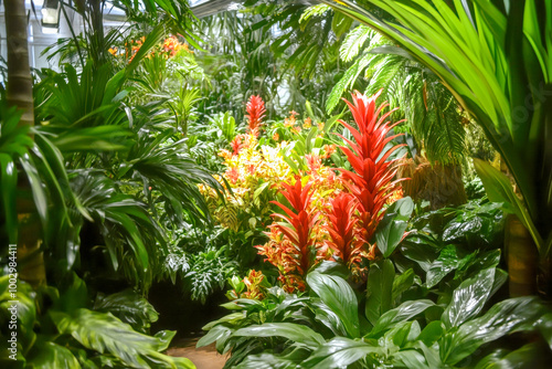 Lush tropical rainforest canopy, alive with vibrant flora and fauna