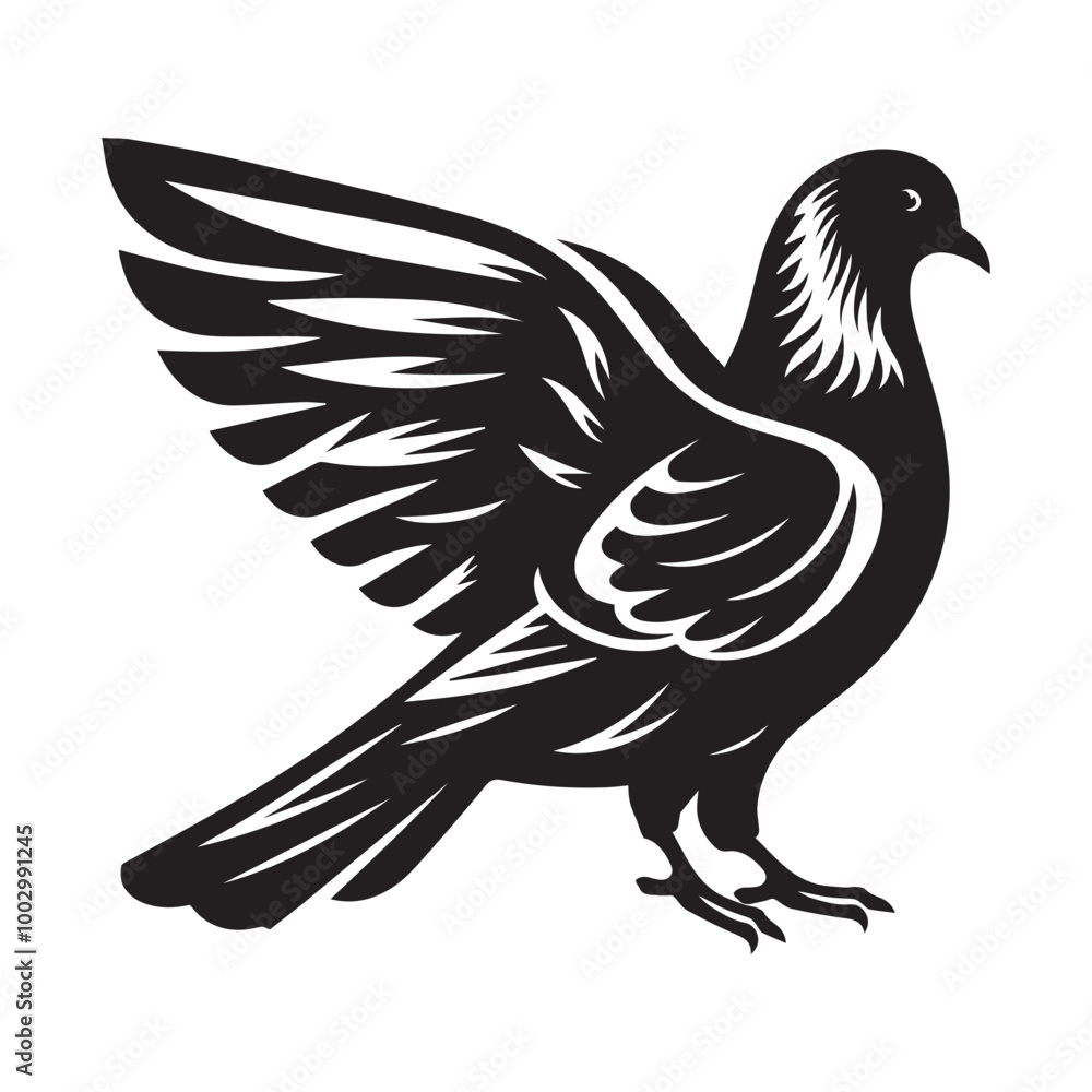 pigeon Vector pigeon Vector