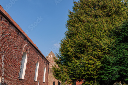 warfendorf in der ostfriesischen Krummhörn photo