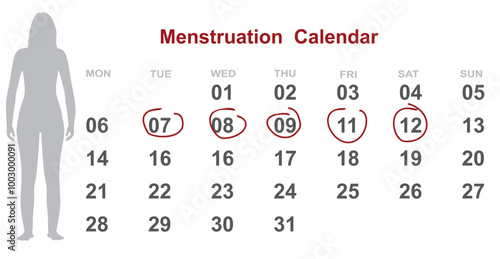 Woman menstrual calendar planner. vector