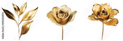 Set gold flower on a white background