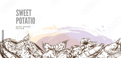 Sweet potatoes, flowers and leaves engraved vector pattern border design, hand drawn ripe yam, farm vegetable batatas