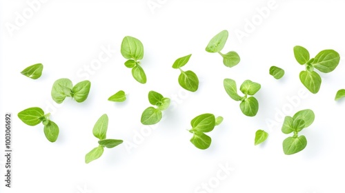 Fresh Oregano Leaves in Air Generative AI