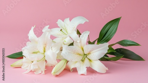 A bouquet of white lilies arranged on a pink background, showcasing beauty and elegance.