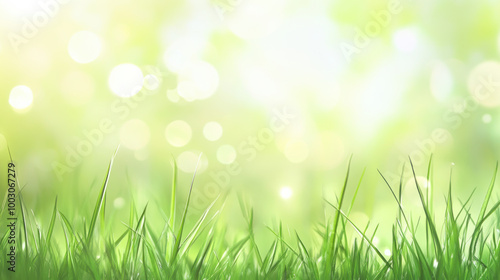 A close-up of green grass with a blurred background of bokeh lights