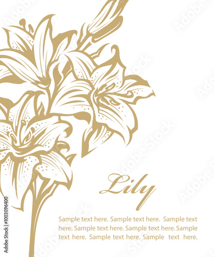 emblem of lily bud for flower shop isolated on white background