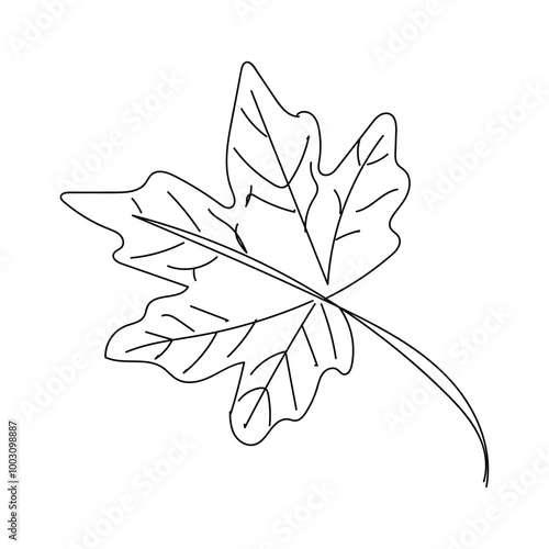 Dessin en ligne continue d'une feuille d'automne tombant d'un arbre, line art, vecteur