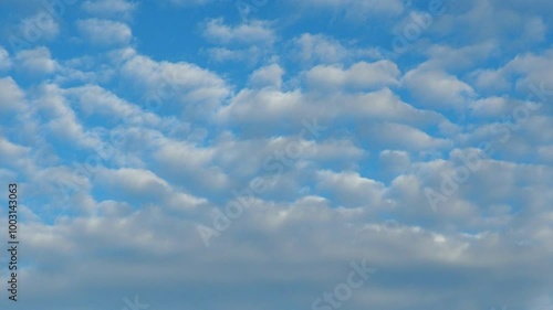 Altocumulus high cumulus heaped cloud genus that belongs mainly to stratocumuliform. Globular masses or rolls in layers or patches. Cumuliform stratocumuliform clouds, altocumulus signifies convection photo