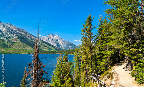 Canvas Print Jenny Lake trail at Grand Teton National Park in Wyoming, United States