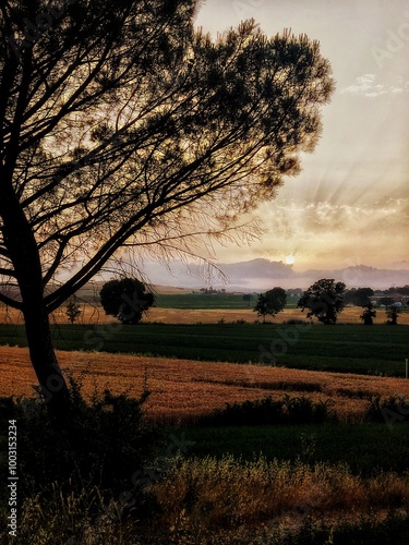 Primo tramonto d'estate
