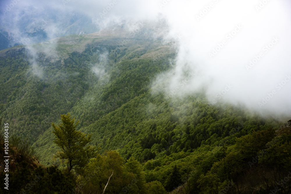 Fog in the mountains of Italy Fog in the mountains of Italy