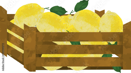 Illustration citrons avec  feuilles cagette  en bois vecteur