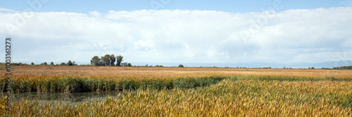 At Alamosa National Wildlife Refuge in Colorado, an ultra-wide panoramic view of wildflowers, marsh, water, trees, clouds, and sky