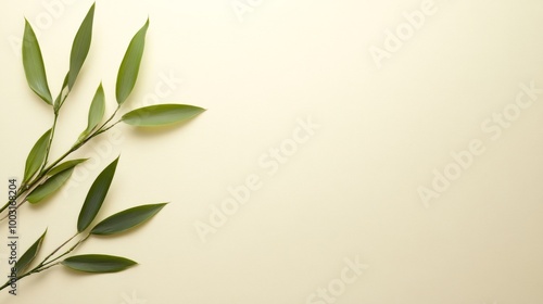 Bamboo leaves gracefully lay across a soft neutral backdrop evoking calm and balance