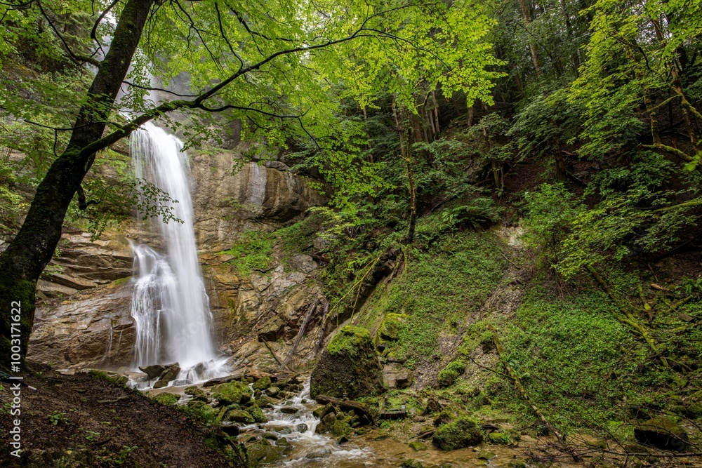 Obraz premium Immenstadt