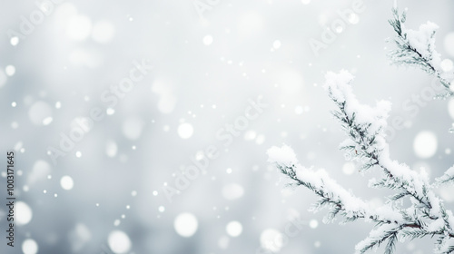A simple gray winter christmas background - snow falls onto pine tree branches, snowflakes  in the air in soft focus - a minimalist and tonal holiday background for a custom image and copypace. 